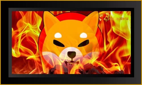 Although a record 1.3 billion SHIB were burned, the price of the token is in decline