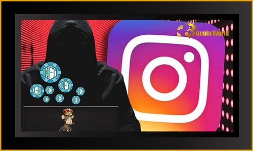 Bored Ape Yacht Club (BAYC) Instagram breach has resulted in millions of dollars in stolen NFTs