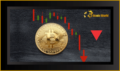 If Bitcoin falls to a low of 517-547 days before the April 2024 halving…