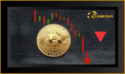 Bitcoin's Consolidation Phase: Will the Halving Cycle Predict the Crypto Market Bottom?