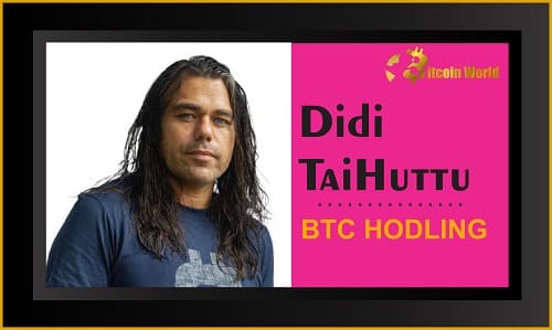 Didi TaiHuttu: What BTC HODLING Can Do For You Unveiled?