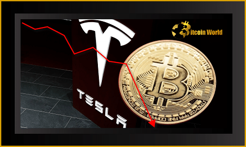 Tesla’s Bitcoin bet could result in significant losses