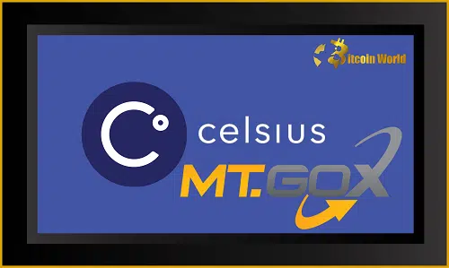 Celsius Network Files for Chapter 11: A Roadmap to Recovery or Another Crypto Winter?