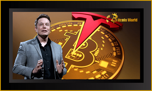 Tesla sold-off 75% of Bitcoin Holdings