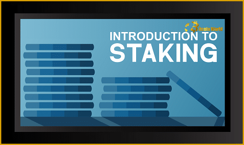 Introduction To Staking