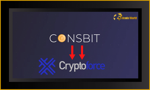Coinsbit India changes its name to Cryptoforce and deepens its cryptocurrency roots