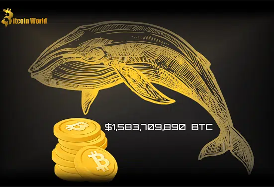 Bitcoin Whale Alert: Over $1 Billion in BTC Moved in Mysterious Transactions - Is a Market Shift Coming?