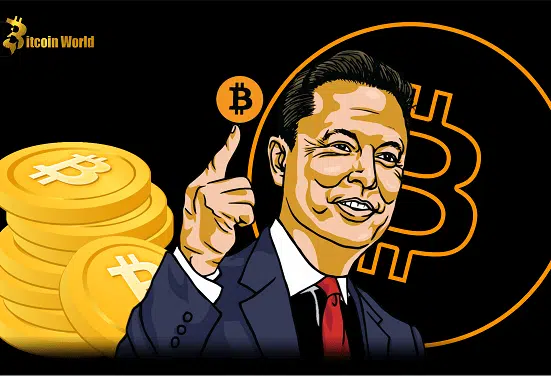 Elon Musk on Bitcoin's Future: 'It Will Survive'