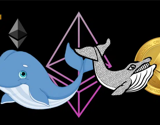 Ethereum Whales Go on Buying Spree Amid Market Dip: Is This the Smart Money Move?