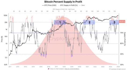 90% of Bitcoin Supply in Profit: Analyst Sees Bullish Momentum Ahead