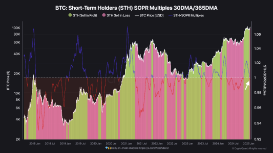 Analysis: Bitcoin Short-Term Holders Selling at a Loss Signals Potential Market Shift