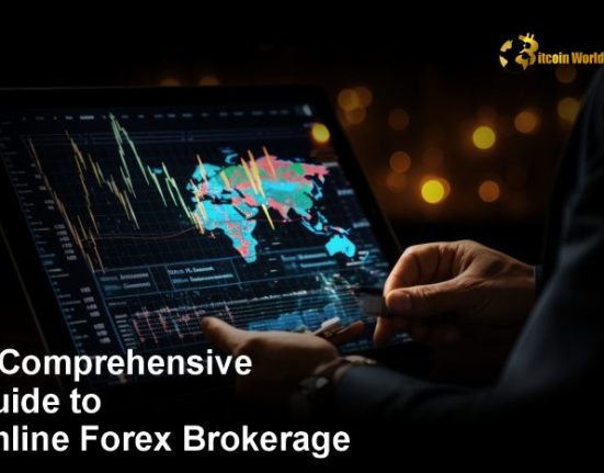 A Comprehensive Guide to Online Forex Brokerage in 2024