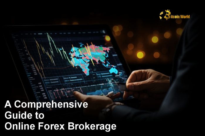 A Comprehensive Guide to Online Forex Brokerage in 2024