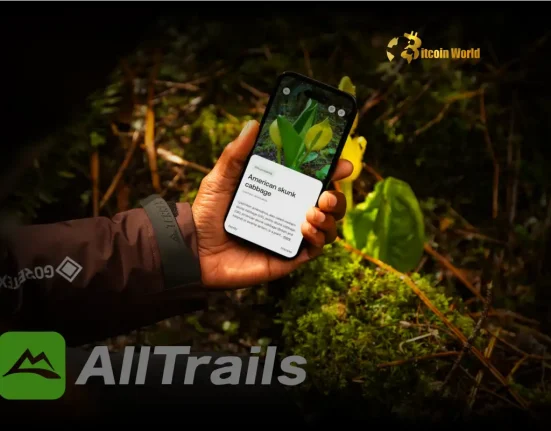 AI Smart Routes Revolutionize Hiking with AllTrails Peak Membership