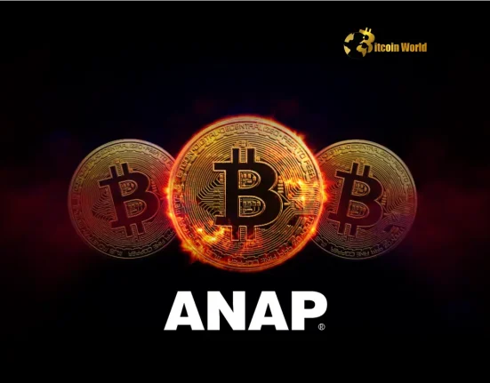 ANAP Bitcoin Holdings Japanese Fashion Brand Embraces Corporate Treasury Trend with Bold Investment