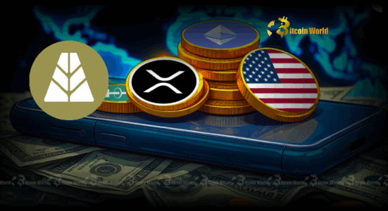 Agora Revolutionizes Stablecoin Business with Landmark $50M Funding