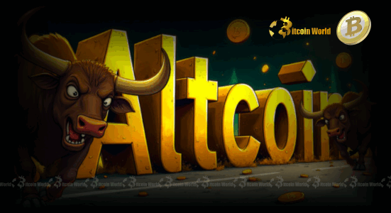 Altcoin Rally Imminent Analysts Predict Explosive Gains in Next Market Phase