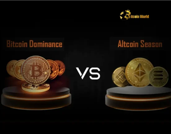 Altcoin Season Alert Why Dropping BTC and USDT Dominance Signals Massive Potential in the Crypto Market