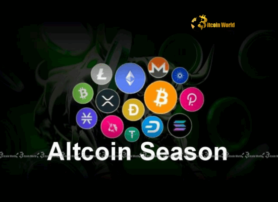 Altcoin Season Index Plunges to 20 A Critical Shift to Bitcoin Season