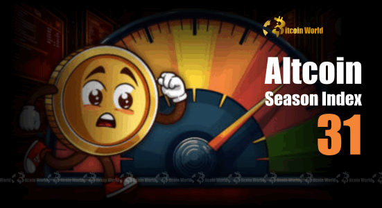 Altcoin Season Index at 31 Unpacking the Dominant Bitcoin Season in the Crypto Market