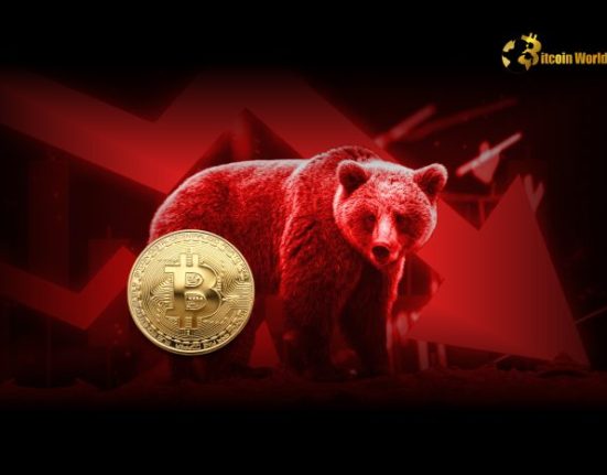 Analyst Warns of Potential Crypto Bear Market Amid Key Developments