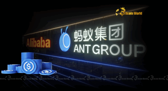 Ant Group USDC A Monumental Breakthrough for China’s Digital Economy