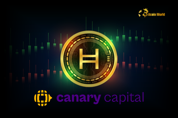 Anticipated HBAR ETF: Canary Capital Revamps SEC Filing – A Promising Step?