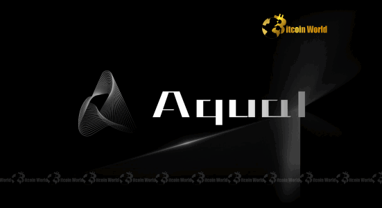 Aqua1 Foundation Unveils Truth Amidst Web3Port Rumors