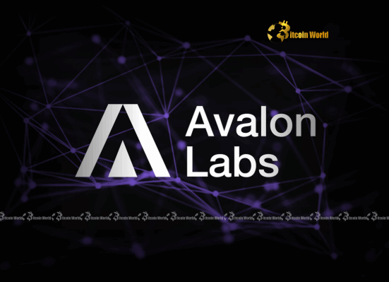 Avalon Labs Pioneering Crucial Regulatory Clarity for the Crypto Industry