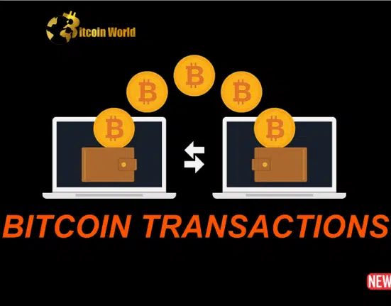 Bitcoin Ordinals Take Center Stage: A Deep Dive into the Inscription Revolution