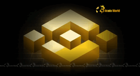 BNB Chain Unveils Ambitious 2025-2026 Roadmap for Unprecedented Growth