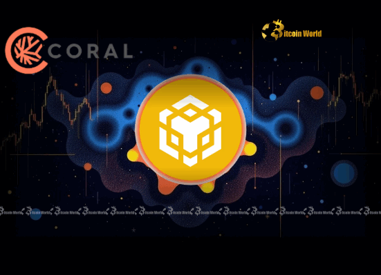 BNB Investment: Ex-Coral Capital Execs Plan Bold $100M Move via Nasdaq Firm
