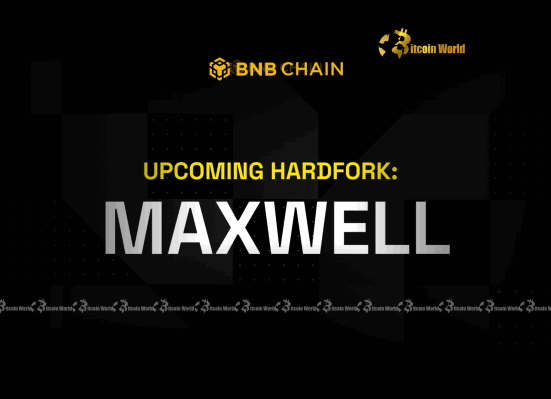 BNB Smart Chain Unleashes Revolutionary Maxwell Upgrade Halving Block Time for Unprecedented Performance