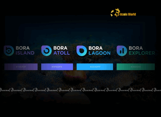 BORA Platform Unveils Ambitious H2 2025 Roadmap A Game-Changing Leap for Decentralized Entertainment