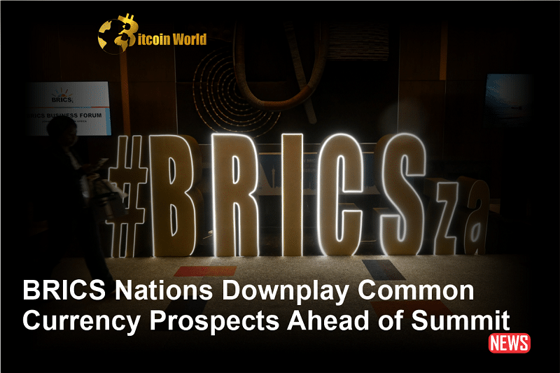 BRICS Nations Downplay Common Currency Prospects Ahead of Summit