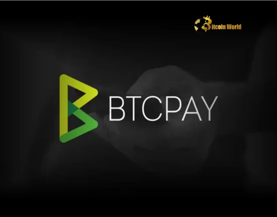 BTCPay Server Receives Pivotal $100K Tether Grant for Open Source Crypto