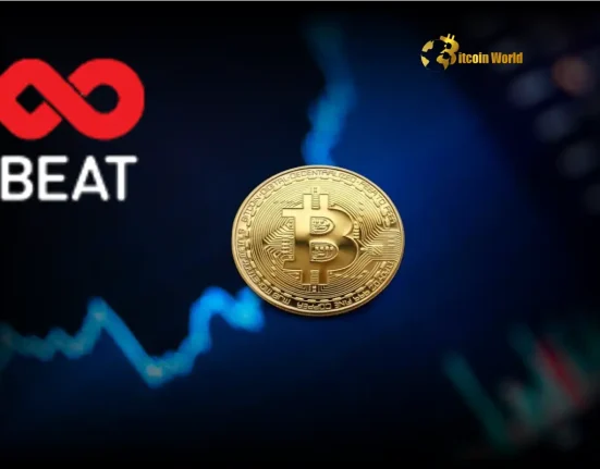 Beat Holdings Unleashes Massive $34 Million Bitcoin Investment Expansion