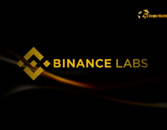 Binance Labs Invests in 46 Projects in 2024: A Sector-Wide Breakdown