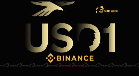 Binance Stablecoin: Unpacking the Explosive USD1 Allegations