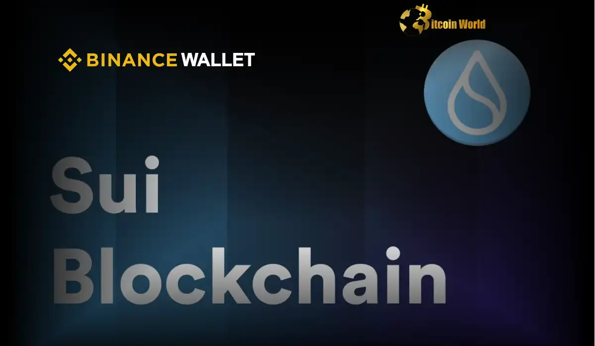 Binance Wallet Team Swiftly Addresses Sui Blockchain Balance Display Glitch