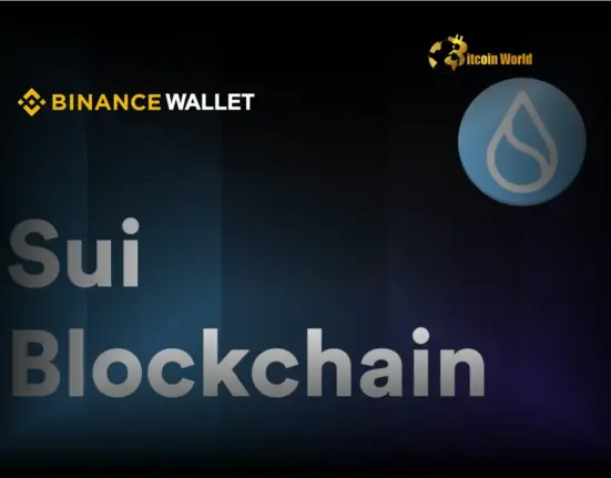Binance Wallet Team Swiftly Addresses Sui Blockchain Balance Display Glitch