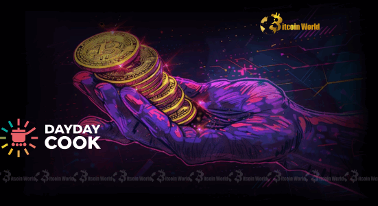 Bitcoin Accumulation: DDC Enterprise Secures Monumental $528M Capital Raise for Bold Strategy