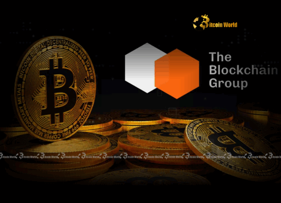 Bitcoin Acquisition The Blockchain Group’s Strategic Move Signals Growing Confidence