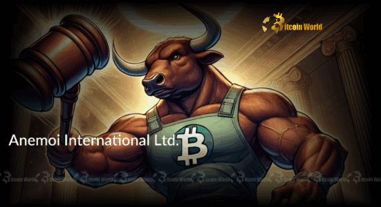 Bitcoin Allocation: Anemoi's Astounding 40% Reserve Boost Signals Institutional Confidence