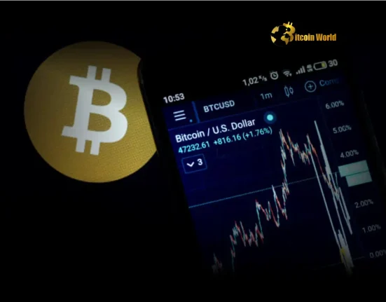 Bitcoin Analysis Insightful Warning Against Risky Crypto Trading Moves