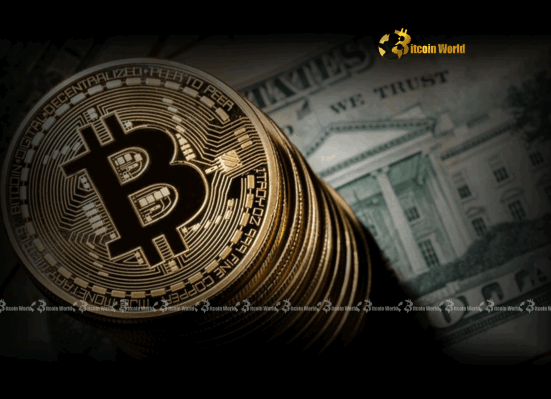 Bitcoin Correlation: Alarming Signals of US Dollar Weakness