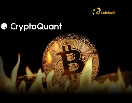 CryptoQuant Reveals Crucial Signal Before Market Overheating