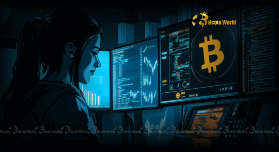 Bitcoin: DDC Enterprise Unveils Colossal $100M Strategy with Animoca Brands