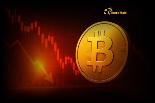 Bitcoin Dip Unlocking the Potential for a Massive Buying Opportunity