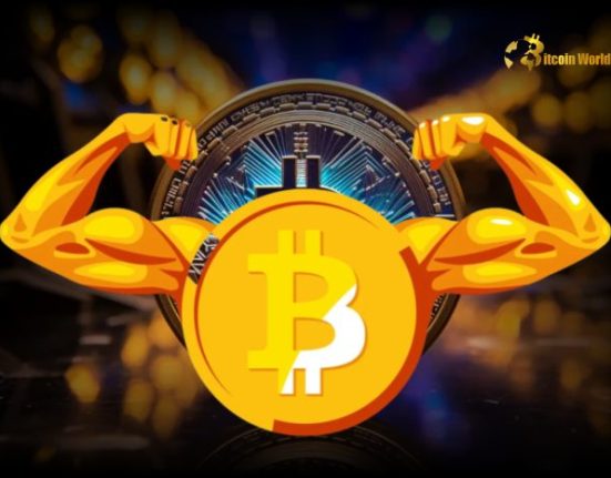 Bitcoin Dominates 2024 with 121% Growth: Key Drivers Behind the Surge